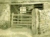 Barn nr  Tosside, Settle, Yorks. (sepia wash)(19 x 25.5 cms). Year 1973. Cat. no. 13.