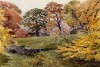 Autumn leaves. (21.1 x 26.7 cms). Year 1975. Cat. no. 135. (North West England & N. Wales)